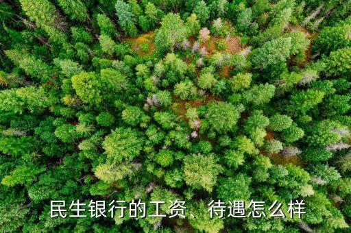  民生銀行的工資、待遇怎么樣