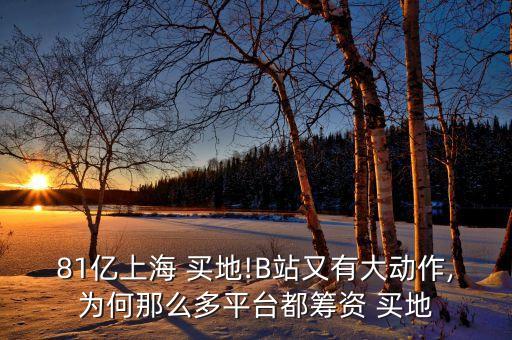 81億上海 買(mǎi)地!B站又有大動(dòng)作,為何那么多平臺(tái)都籌資 買(mǎi)地