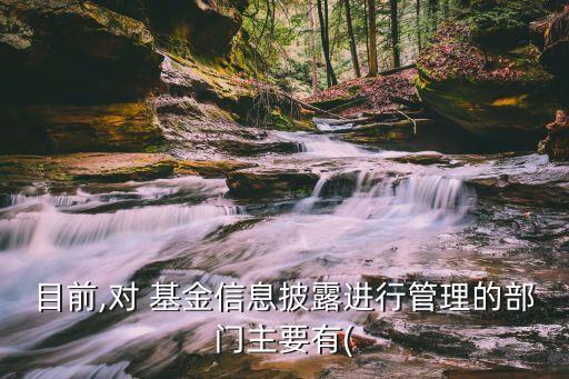 目前,對 基金信息披露進行管理的部門主要有(