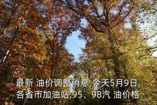 最新 油價(jià)調(diào)整消息,今天5月9日,各省市加油站,95、98汽 油價(jià)格