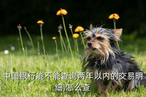 中國銀行能不能查詢兩年以內的交易明細,怎么查