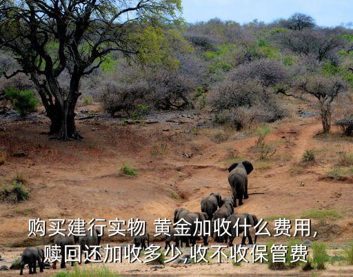 購(gòu)買(mǎi)建行實(shí)物 黃金加收什么費(fèi)用, 贖回還加收多少,收不收保管費(fèi)