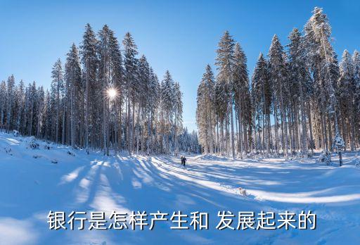  銀行是怎樣產生和 發(fā)展起來的