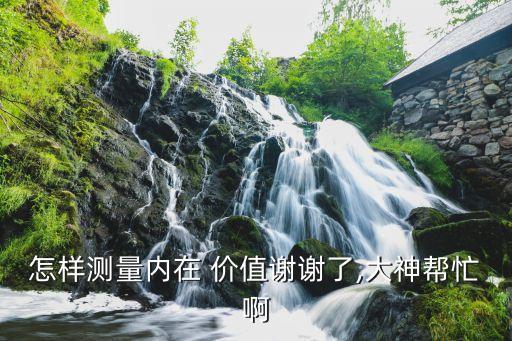 怎樣測量內在 價值謝謝了,大神幫忙啊