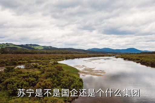  蘇寧是不是國(guó)企還是個(gè)什么集團(tuán)