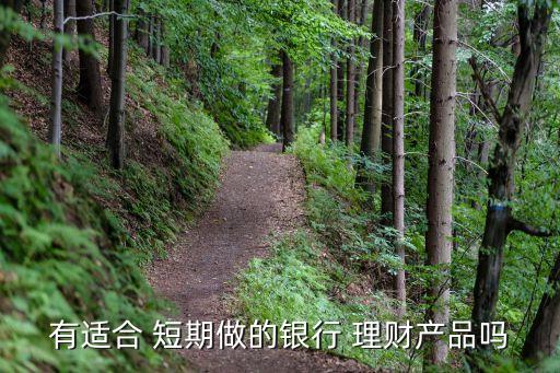 有適合 短期做的銀行 理財產(chǎn)品嗎