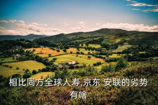 相比同方全球人壽,京東 安聯的劣勢有啥