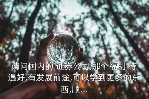 請問國內(nèi)的 證券公司,那個福利 待遇好,有發(fā)展前途,可以學到更多的東西,順...