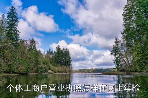 個(gè)體工商戶營業(yè)執(zhí)照怎樣在網(wǎng)上年檢
