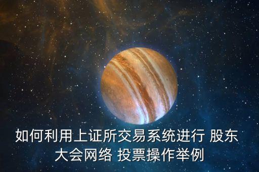 如何利用上證所交易系統(tǒng)進行 股東 大會網絡 投票操作舉例
