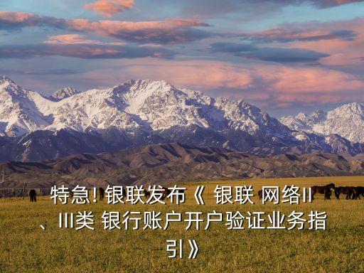 特急! 銀聯(lián)發(fā)布《 銀聯(lián) 網(wǎng)絡II、III類 銀行賬戶開戶驗證業(yè)務指引》