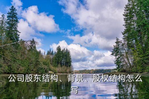  公司股東結(jié)構(gòu)、背景、股權(quán)結(jié)構(gòu)怎么寫