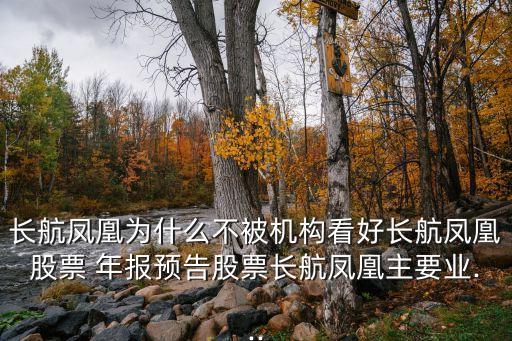 長航鳳凰為什么不被機(jī)構(gòu)看好長航鳳凰股票 年報(bào)預(yù)告股票長航鳳凰主要業(yè)...