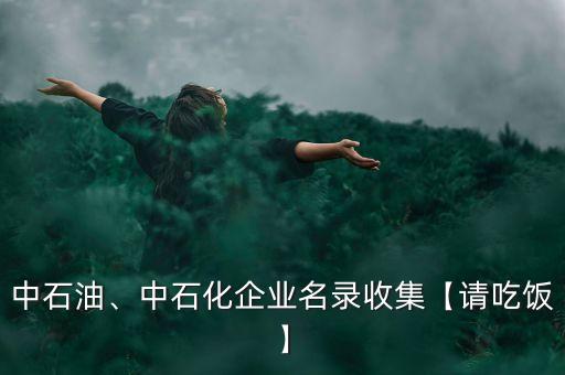 中石油、中石化企業(yè)名錄收集【請(qǐng)吃飯】