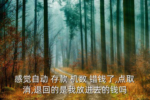 感覺(jué)自動(dòng) 存款 機(jī)數(shù) 錯(cuò)錢(qián)了,點(diǎn)取消,退回的是我放進(jìn)去的錢(qián)嗎