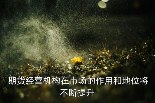  期貨經營機構在市場的作用和地位將不斷提升