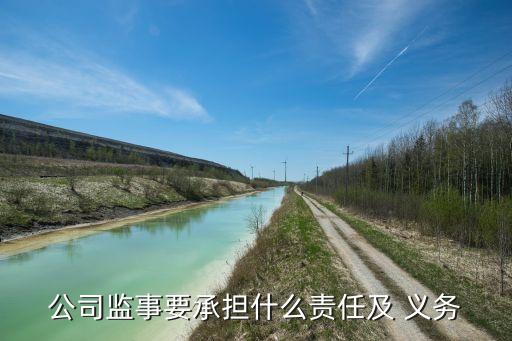 公司高級(jí)管理人員勤勉盡責(zé)義務(wù),董事、高級(jí)管理人員勤勉義務(wù)