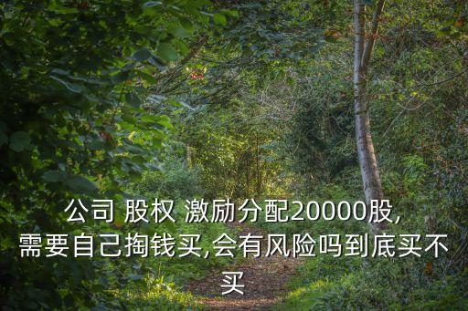 員工購買公司股權(quán)激勵(lì)注意事項(xiàng)
