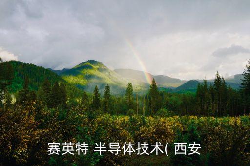 賽英特 半導體技術(shù)( 西安