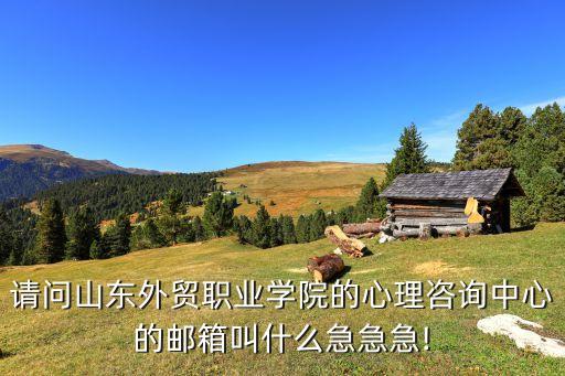 請(qǐng)問山東外貿(mào)職業(yè)學(xué)院的心理咨詢中心的郵箱叫什么急急急!
