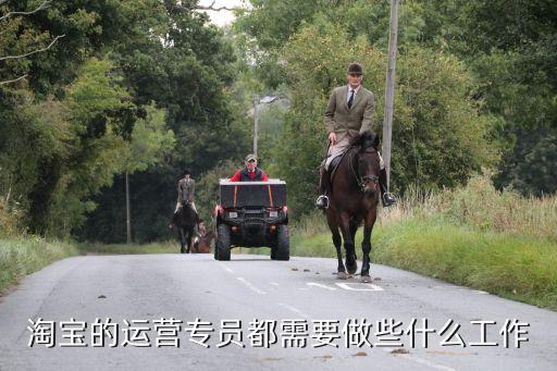 淘寶的運(yùn)營(yíng)專(zhuān)員都需要做些什么工作