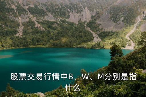  股票交易行情中B、W、M分別是指什么