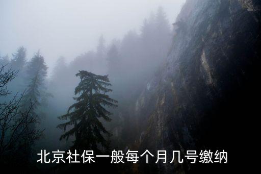  北京社保一般每個(gè)月幾號繳納
