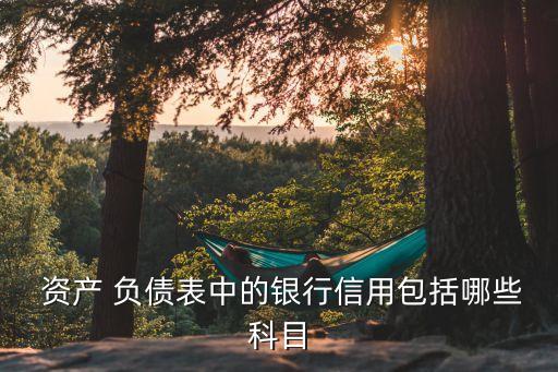中國人民銀行資產負債表2014
