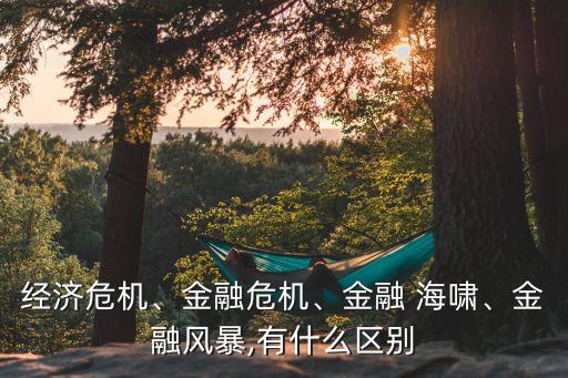 經(jīng)濟危機、金融危機、金融 海嘯、金融風暴,有什么區(qū)別