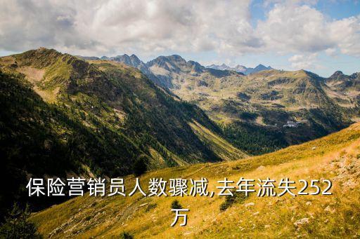 保險(xiǎn)營(yíng)銷員人數(shù)驟減,去年流失252萬(wàn)