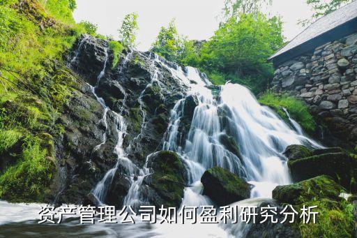 資產管理公司如何盈利研究分析