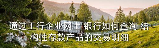 通過工行企業(yè)網(wǎng)上 銀行如何查詢 結構性存款產(chǎn)品的交易明細