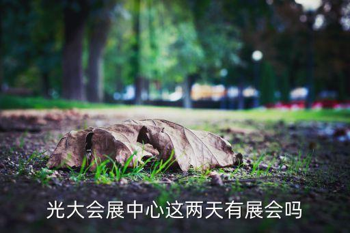 中國上海國際婚紗攝影器材展覽會(huì),上?；榧啍z影器材展2023時(shí)間