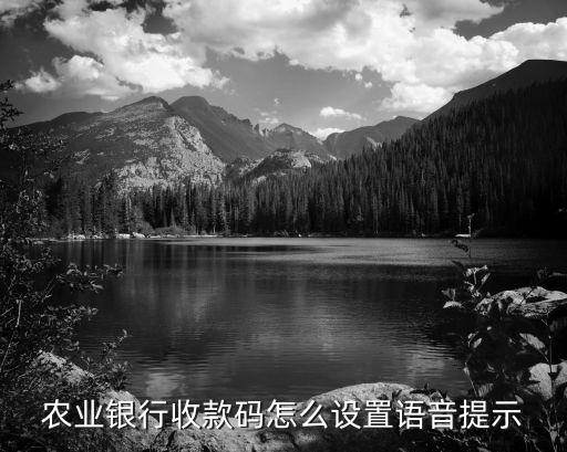 農(nóng)業(yè)銀行收款碼怎么設置語音提示