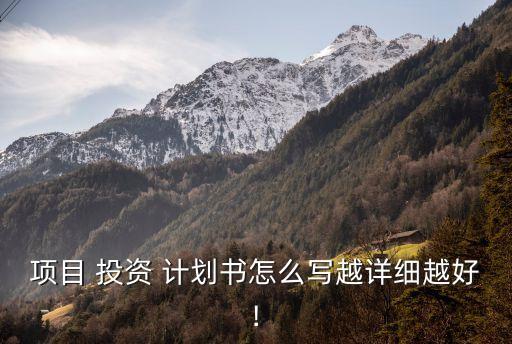 項目 投資 計劃書怎么寫越詳細(xì)越好!