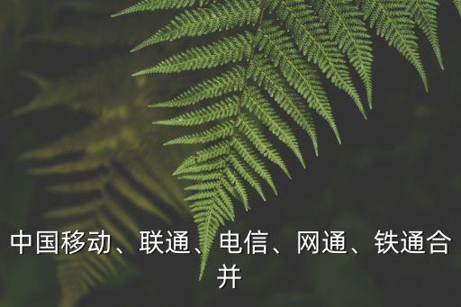 中國(guó)移動(dòng)、聯(lián)通、電信、網(wǎng)通、鐵通合并