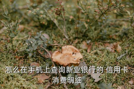 怎么在手機上查詢新業(yè)銀行的 信用卡消費明細(xì)