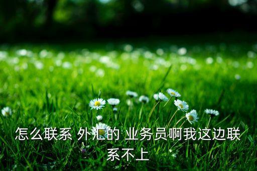 怎么聯(lián)系 外匯的 業(yè)務員啊我這邊聯(lián)系不上