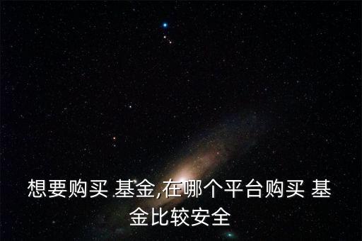 想要購買 基金,在哪個(gè)平臺(tái)購買 基金比較安全