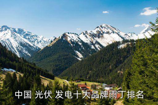 中國(guó) 光伏 發(fā)電十大品牌雨丁排名