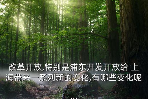 上?，F(xiàn)代服務(wù)業(yè)發(fā)展