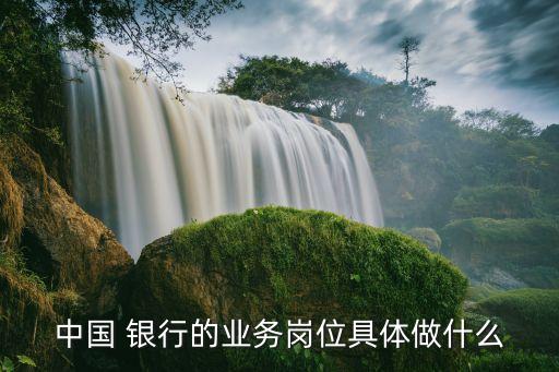 中國 銀行的業(yè)務崗位具體做什么