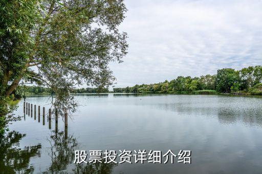 上?？萍脊善背杀?上海本地科技股票一覽表