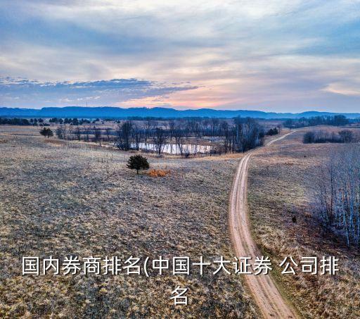 國內券商排名(中國十大證券 公司排名