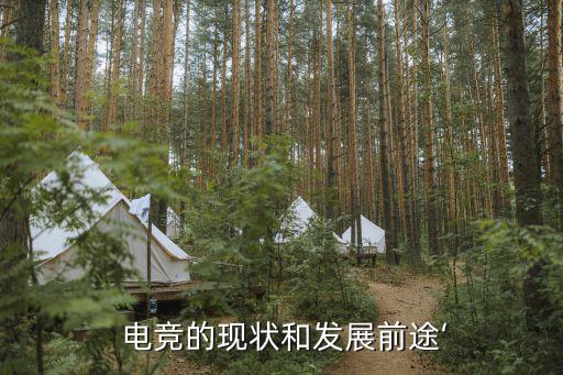  電競的現狀和發(fā)展前途‘