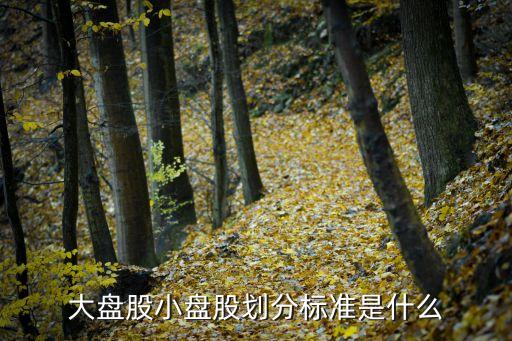 大盤(pán)股小盤(pán)股劃分標(biāo)準(zhǔn)是什么