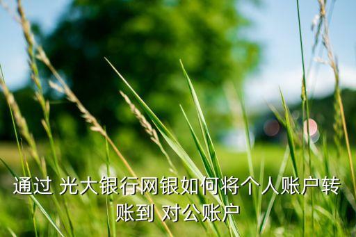 通過 光大銀行網(wǎng)銀如何將個(gè)人賬戶轉(zhuǎn)賬到 對公賬戶