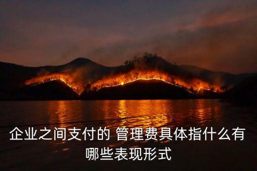 企業(yè)之間支付的 管理費具體指什么有哪些表現形式