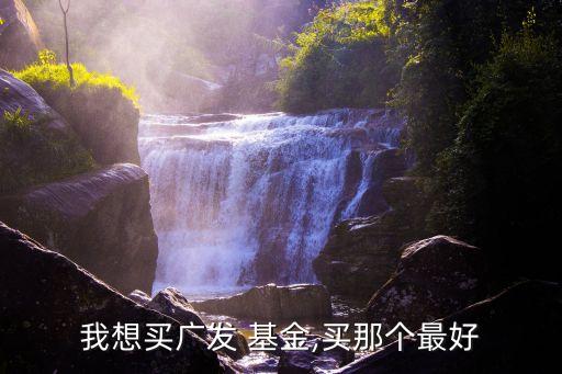 我想買(mǎi)廣發(fā) 基金,買(mǎi)那個(gè)最好