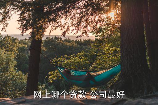 網上哪個貸款 公司最好